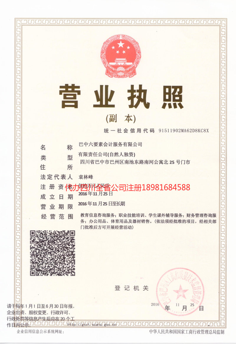 苍溪苍溪六要素会计服务有限公司